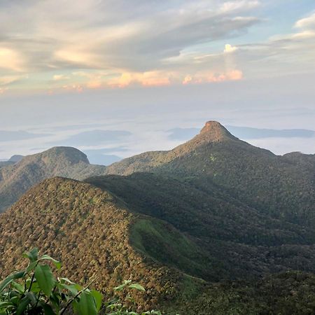 Hotel Mango Tree Nearest Adam'S Peak Nallathanniya Kültér fotó
