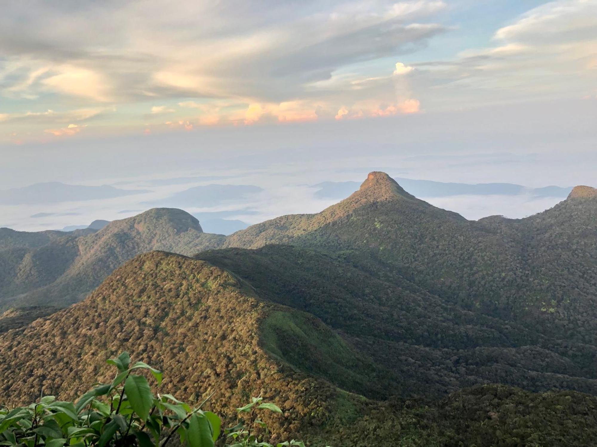 Hotel Mango Tree Nearest Adam'S Peak Nallathanniya Kültér fotó