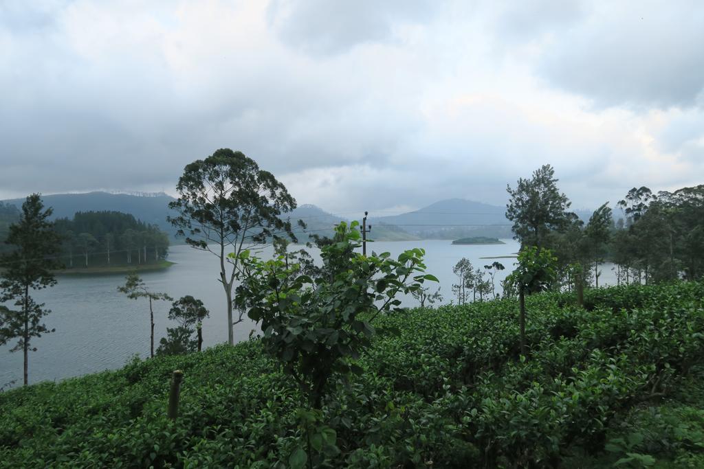Hotel Mango Tree Nearest Adam'S Peak Nallathanniya Kültér fotó
